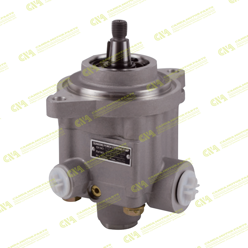 Steering Pump RENAULT 5010557101