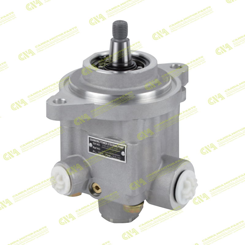 Steering Pump RENAULT Customization
