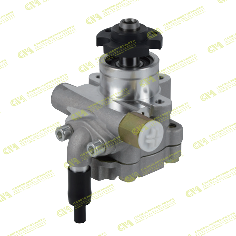 Steering Pump LEYLAND LEYLAND DOST