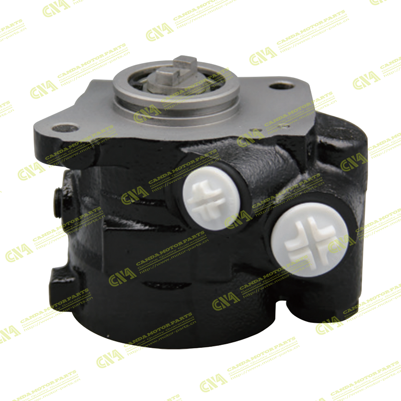 Steering Pump TATA 291312462143