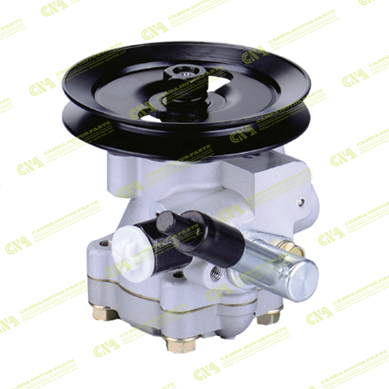 Steering Pump MAHINDRA D061-700A/490019