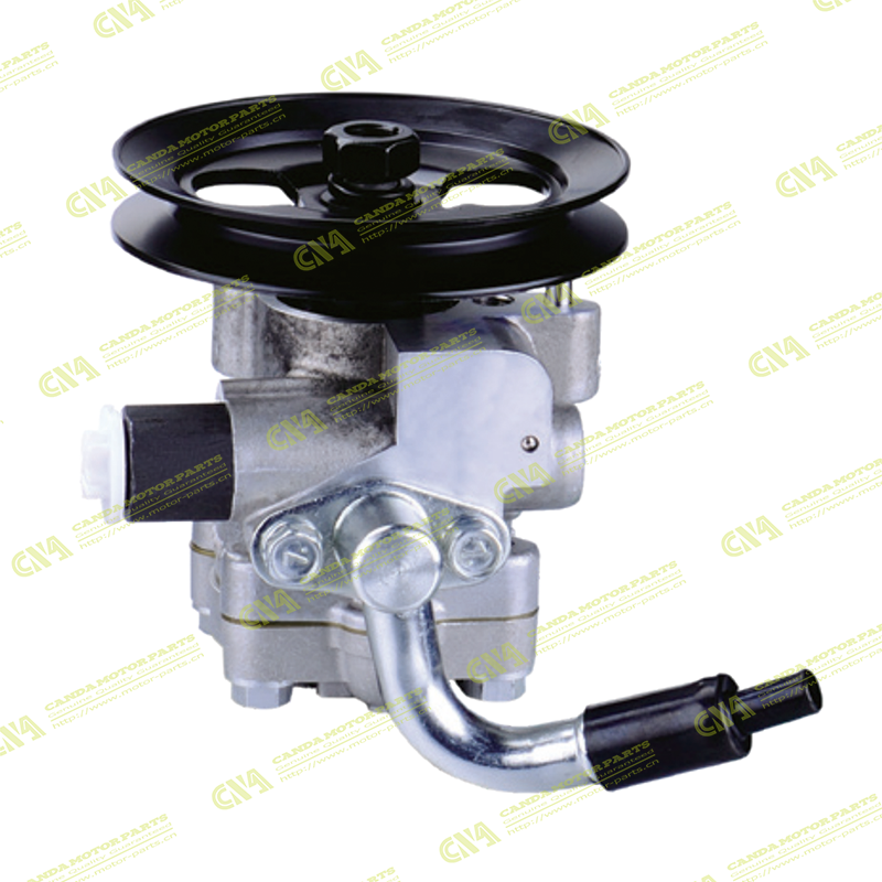 Steering Pump MAHINDRA D061-700A