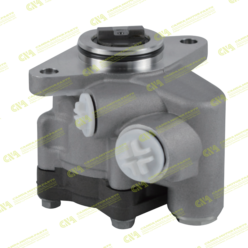 Steering Pump RUSSIA 7683955122
