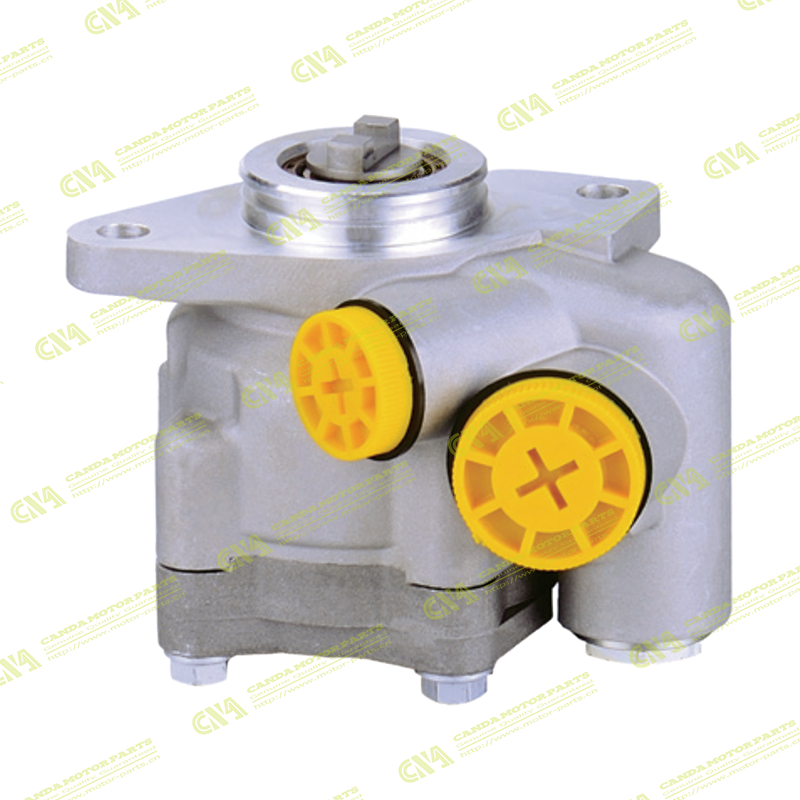 Steering Pump RUSSIA 7685955138