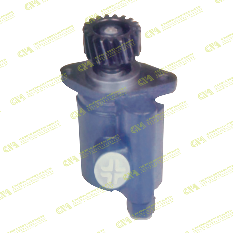 Steering Pump CHINESE 61800130034