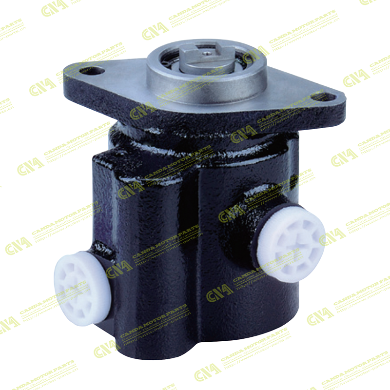 Steering Pump CHINESE 34.2D-0910-A01
