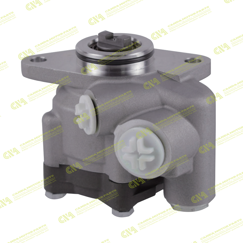Steering Pump FORD 7687955211