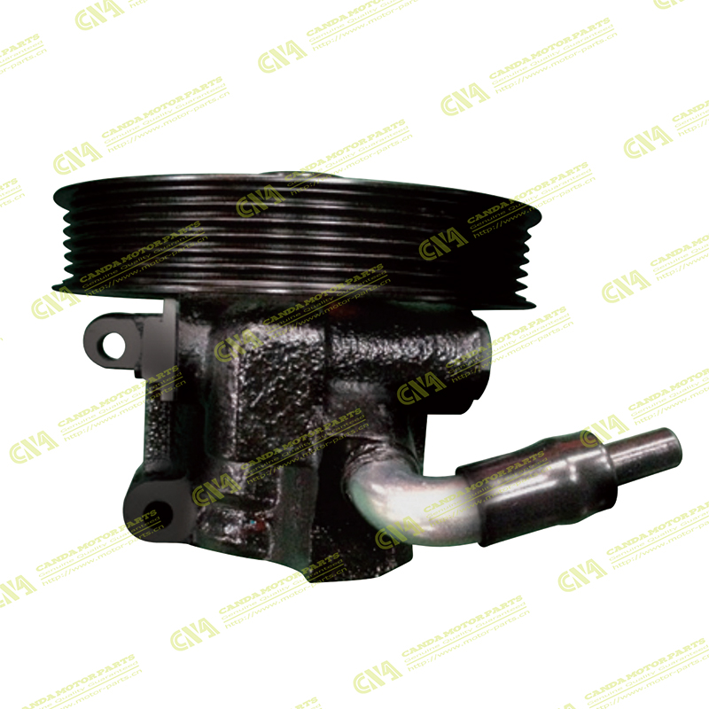 Steering Pump AUSTRALIAN 1864