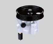Steering Pump RENAULT 491100246R